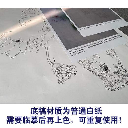 【有步骤】王震工笔画白描底稿《人间无地著相思》荷花花瓶图初学者临摹花鸟线稿WZ01 商品图3