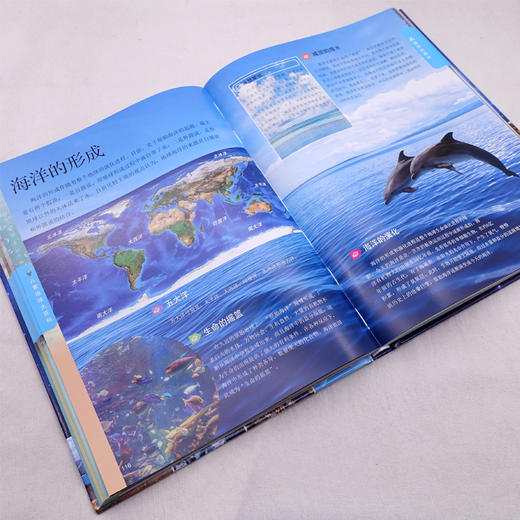 《儿童地球大百科》《儿童人体百科全书》 精装 商品图6