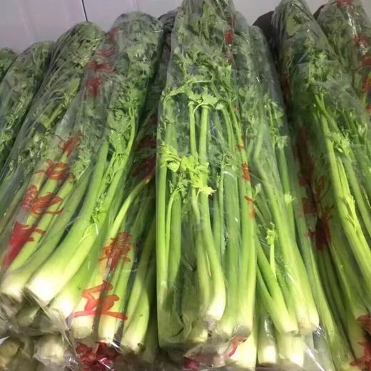 【下单后48小时左右发货】山东济南 章丘 鲍芹2斤装左右 商品图11