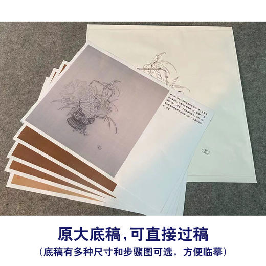 【有步骤、大彩图】王震工笔画白描底稿斗方小品《清供（夏）》荷花花篮初学者临摹花鸟线稿WZ31 商品图1