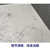 【有步骤】王震工笔画白描底稿圆形小品《茶花图》初学者临摹花鸟线稿WZ24 商品缩略图4