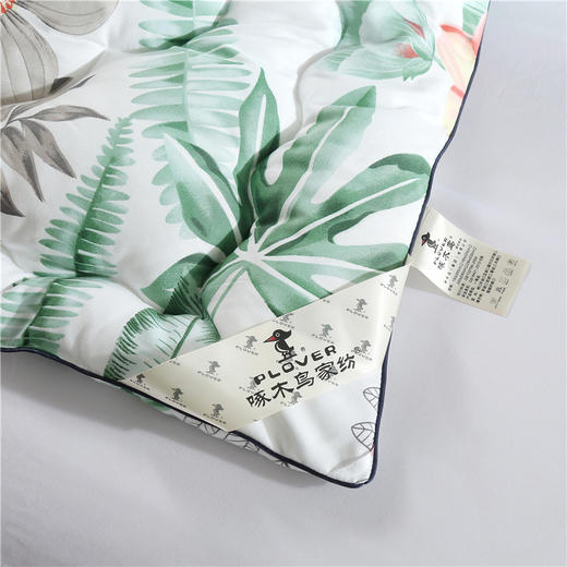 啄木鸟 亲肤绒花语秋冬被 2kg羽丝棉被 水洗抗菌被 商品图5