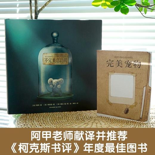 不完美总动员   暖房子国际精选绘本 商品图2