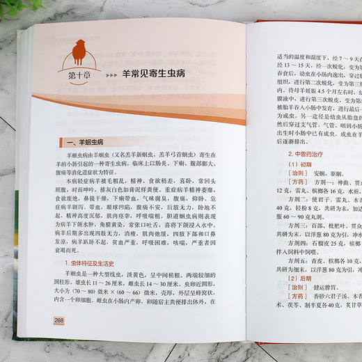 羊常见病中兽医诊治 商品图11