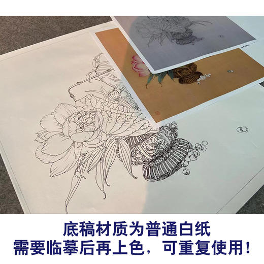 【有步骤、大彩图】王震工笔画白描底稿斗方小品《清供（夏）》荷花花篮初学者临摹花鸟线稿WZ31 商品图3