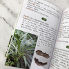 袖珍中草药彩色图谱（第二版) 商品缩略图10