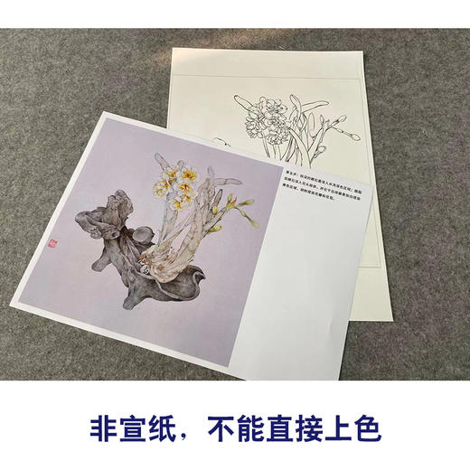 【有步骤】王震工笔画白描底稿斗方小品《凌波客》水仙花初学者临摹花鸟线稿WZ19 商品图2