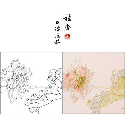 【有步骤】王震工笔画白描底稿斗方小品《与子偕老》荷花初学者临摹花鸟线稿WZ18 商品图0