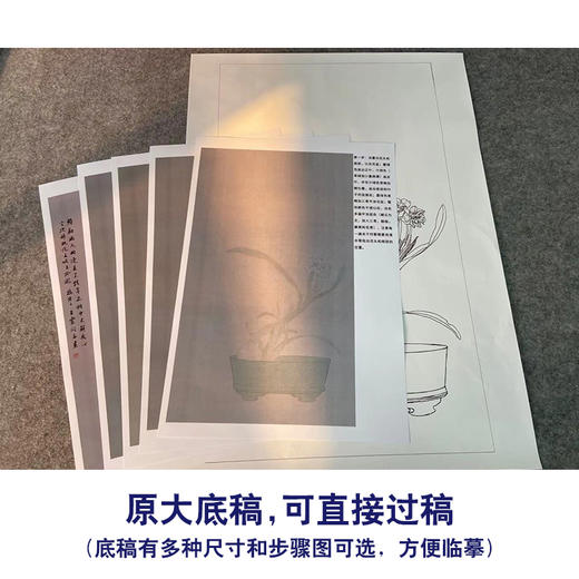 【有步骤】王震工笔画白描底稿《只说名唤玉玲珑》水仙初学者临摹花鸟线稿WZ28 商品图1
