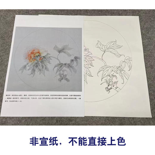 【有步骤】王震工笔画白描底稿圆形小品《同为长醉客》牡丹初学者临摹花鸟线稿WZ14 商品图2