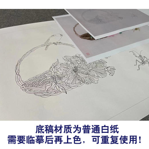 【有步骤】王震工笔画白描底稿小品《我有闲时趣》牡丹花篮初学者临摹花鸟线稿WZ11 商品图3