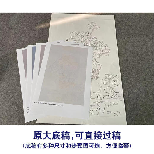 【有步骤】王震工笔画白描底稿《只许君心知》博古花瓶初学者临摹花鸟线稿WZ03 商品图1