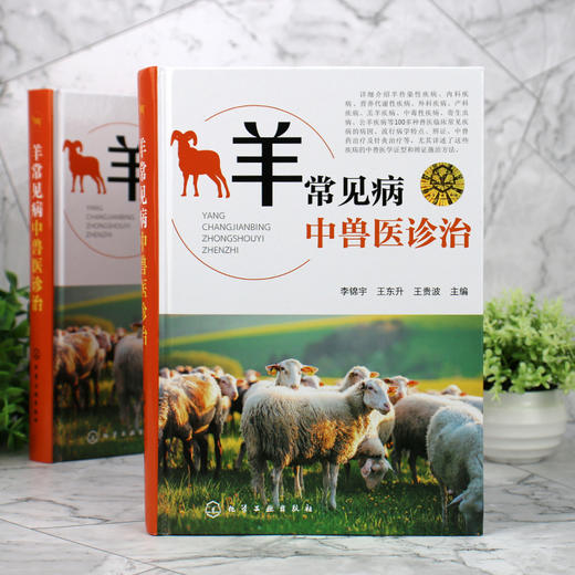 羊常见病中兽医诊治 商品图2