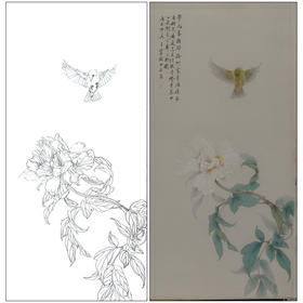 【有步骤】王震工笔画白描底稿《一朵闲花方舞》牡丹初学者临摹花鸟线稿WZ16