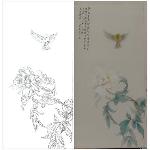 【有步骤】王震工笔画白描底稿《一朵闲花方舞》牡丹初学者临摹花鸟线稿WZ16 商品图0