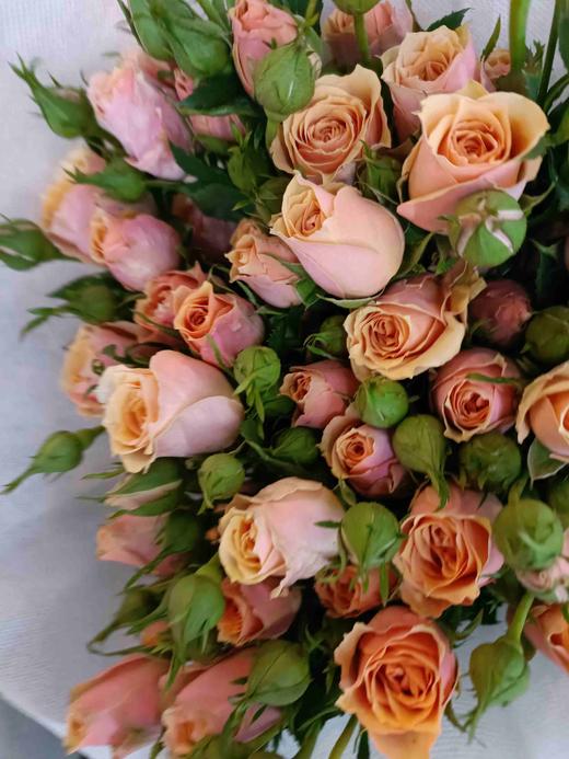 昆明玫瑰宝贝爱人多头10支扎a级