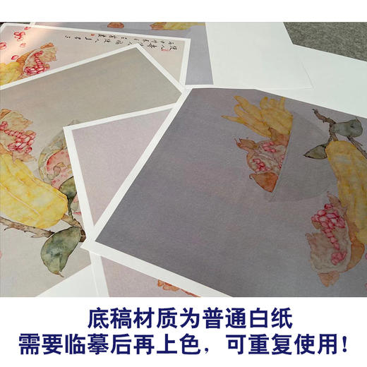 【有步骤】王震工笔画白描底稿斗方小品《佛寿三多》佛手石榴初学者临摹花鸟线稿WZ20 商品图3
