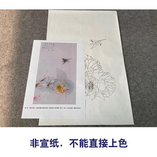 【有步骤】王震工笔画白描底稿《自有清香》荷花莲藕初学者临摹花鸟线稿WZ09 商品图2