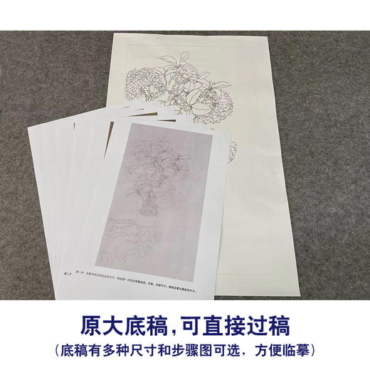 【有步骤】王震工笔画白描底稿《闲庭云梦》博古花瓶初学者临摹花鸟线稿WZ10 商品图1