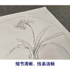 【有步骤】王震工笔画白描底稿圆形小品《水仙图》初学者临摹花鸟线稿WZ25 商品缩略图4