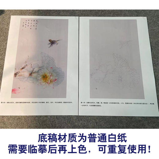 【有步骤】王震工笔画白描底稿《自有清香》荷花莲藕初学者临摹花鸟线稿WZ09 商品图3