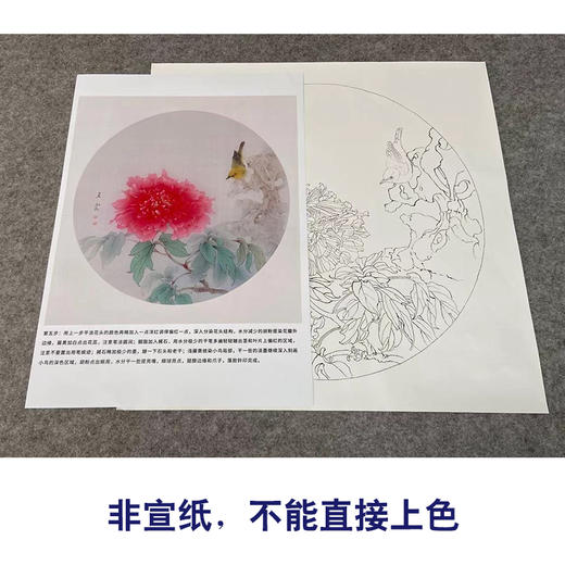 【有步骤】王震工笔画白描底稿圆形小品《牡丹圆光》牡丹翠鸟初学者临摹花鸟线稿WZ12 商品图2
