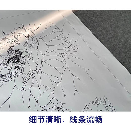 【有步骤】王震工笔画白描底稿《人间无地著相思》荷花花瓶图初学者临摹花鸟线稿WZ01 商品图4
