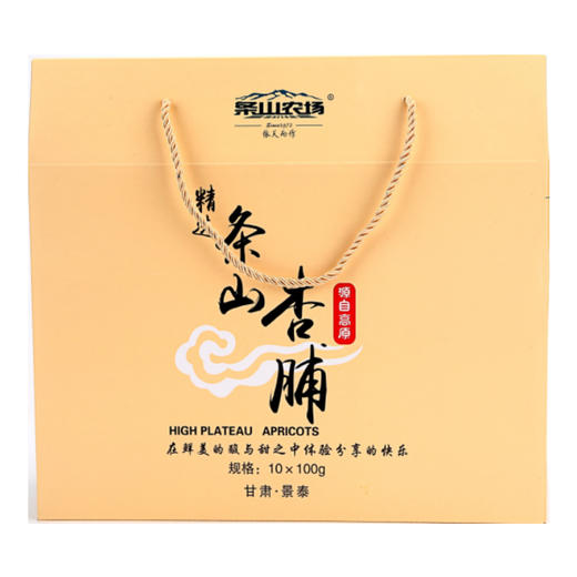 TSNG-条山杏脯礼盒100g*10袋/盒【大宗供货请联系客服】 商品图3