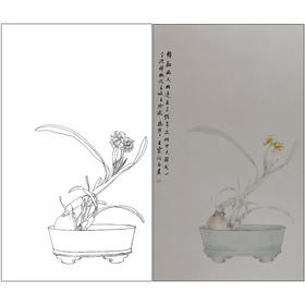 【有步骤】王震工笔画白描底稿《只说名唤玉玲珑》水仙初学者临摹花鸟线稿WZ28