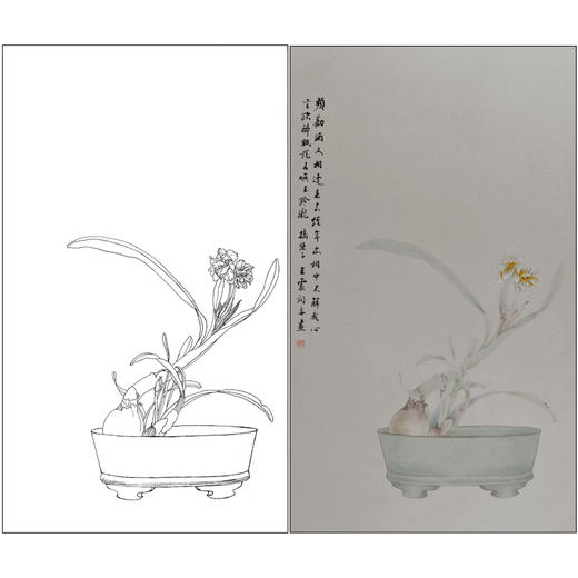 【有步骤】王震工笔画白描底稿《只说名唤玉玲珑》水仙初学者临摹花鸟线稿WZ28 商品图0