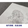 【有步骤】王震工笔画白描底稿圆形小品《同为长醉客》牡丹初学者临摹花鸟线稿WZ14 商品缩略图4