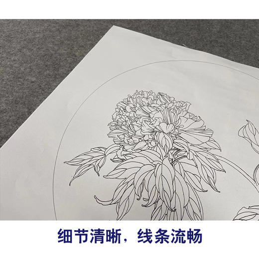 【有步骤】王震工笔画白描底稿圆形小品《同为长醉客》牡丹初学者临摹花鸟线稿WZ14 商品图4