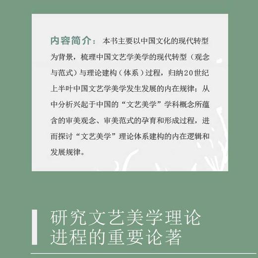 文化转型视野下中国文艺美学现代化进程研究（1900—1949） 商品图2