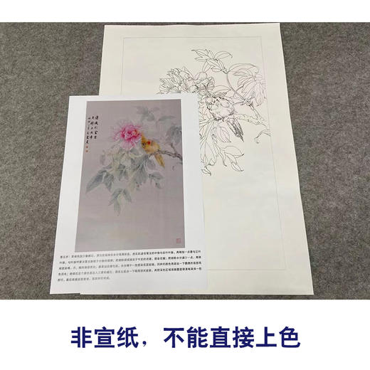【有步骤】王震工笔画白描底稿《谁识别处客》牡丹鹦鹉初学者临摹花鸟线稿WZ15 商品图2