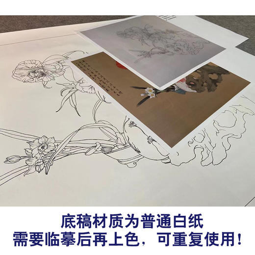 【有步骤、大彩图】王震工笔画白描底稿博古斗方小品《清供（冬）》花瓶初学者临摹花鸟线稿WZ33 商品图3