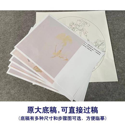 【有步骤】王震工笔画白描底稿圆形小品《偶过入琴心》美人蕉初学者临摹花鸟线稿WZ23 商品图2