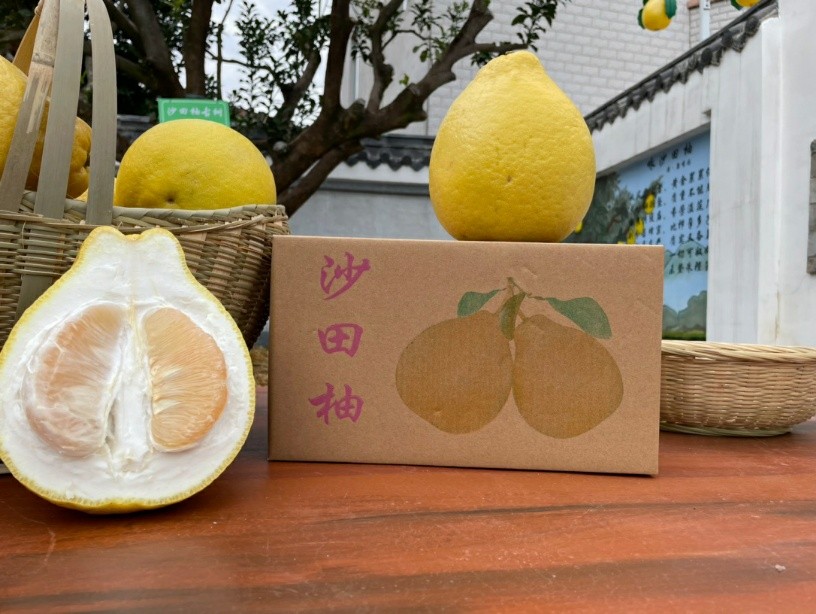 【产品名称】广西容县沙田柚【产品规格】1.家庭装2个/4-4.5斤2.