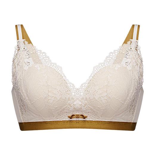 爱帝女士花卉底包边蕾丝文胸B杯型 商品图3