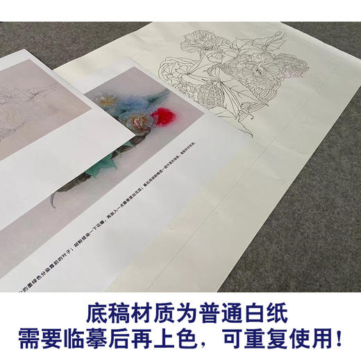 【有步骤】王震横幅工笔画白描底稿《霜君自此满衣香》芙蓉花篮初学者临摹花鸟线稿WZ07 商品图3