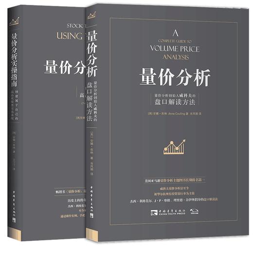 量价分析+量价分析实操指南 商品图0