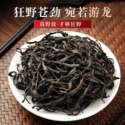 【礼品茶】2026滇红茶《黑美人》吉顺号新品滇红黑美人浓香型凤庆滇红茶500g 商品图1