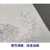【有步骤】王震工笔画白描底稿圆形小品《牡丹圆光》牡丹翠鸟初学者临摹花鸟线稿WZ12 商品缩略图3