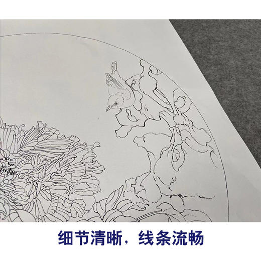 【有步骤】王震工笔画白描底稿圆形小品《牡丹圆光》牡丹翠鸟初学者临摹花鸟线稿WZ12 商品图3