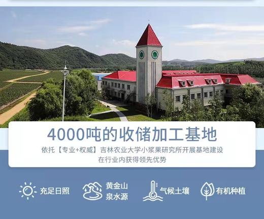 蓝莓脱醇酒（１度）720ml/瓶 商品图4