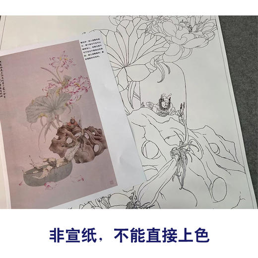 【有步骤】王震工笔画白描底稿《何曾一处不含香》博古花瓶初学者临摹花鸟线稿WZ29 商品图2