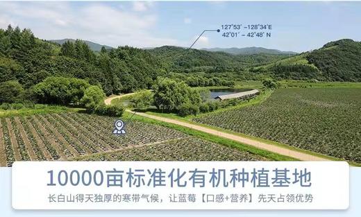 蓝莓脱醇酒（１度）720ml/瓶 商品图3