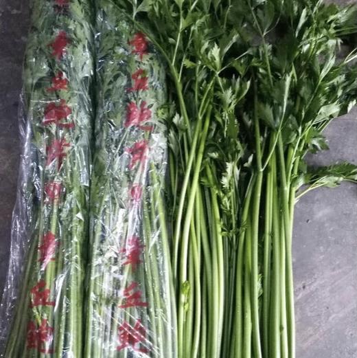 【下单后48小时左右发货】山东济南 章丘 鲍芹2斤装左右 商品图13