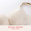 爱帝女士花卉底包边蕾丝文胸B杯型 商品缩略图6