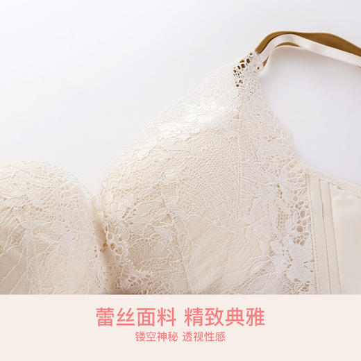 爱帝女士花卉底包边蕾丝文胸B杯型 商品图6