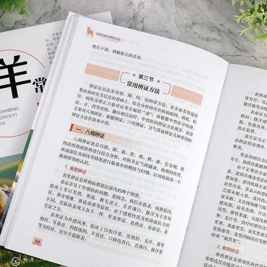 羊常见病中兽医诊治 商品图9